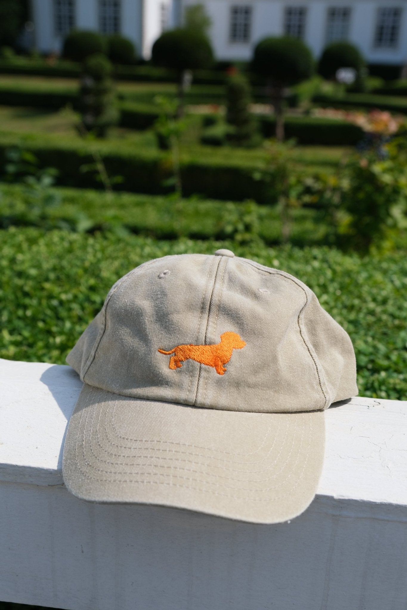 Caps Rauhaardackel - Oh Evchen