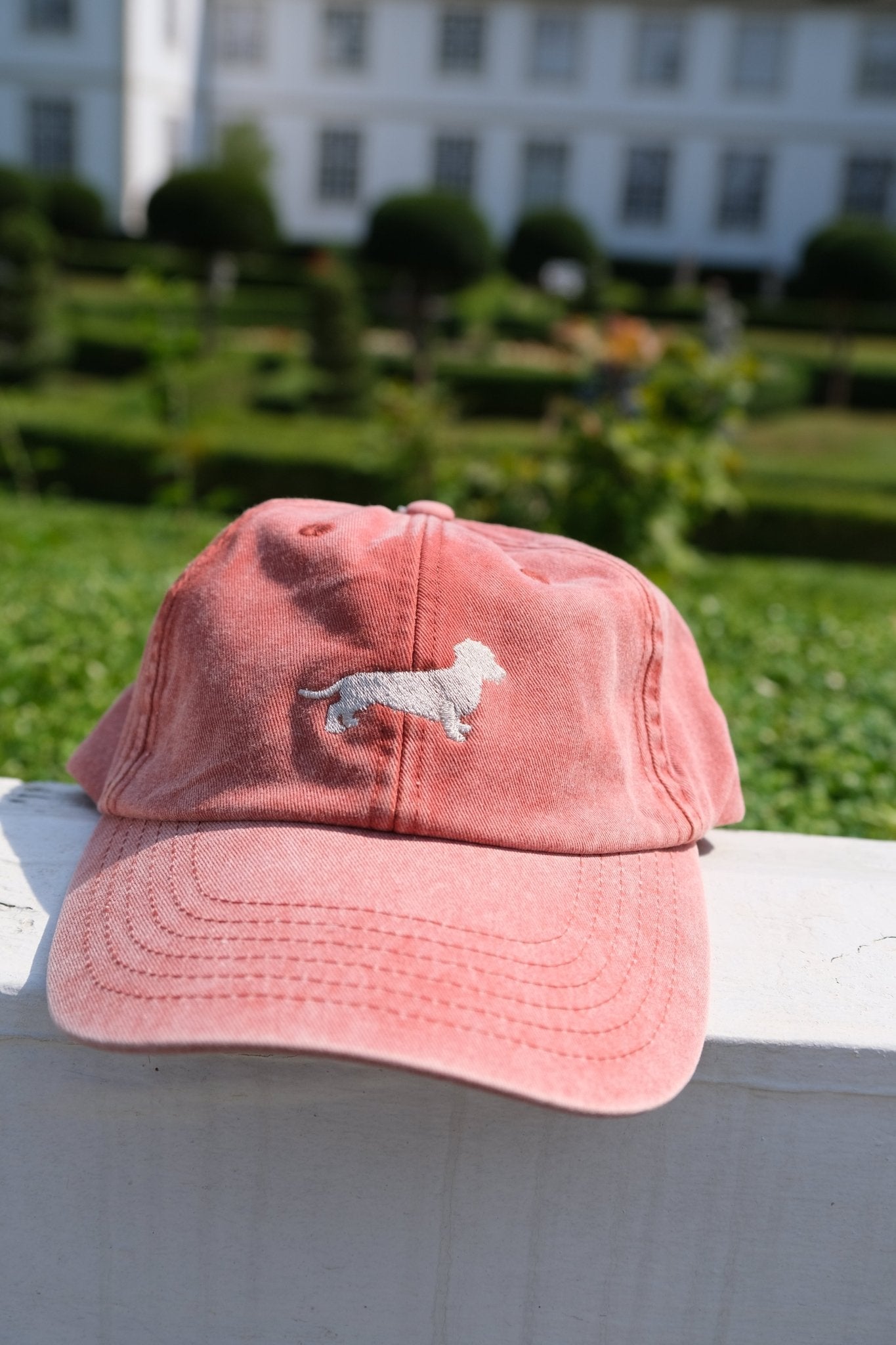 Caps Rauhaardackel - Oh Evchen