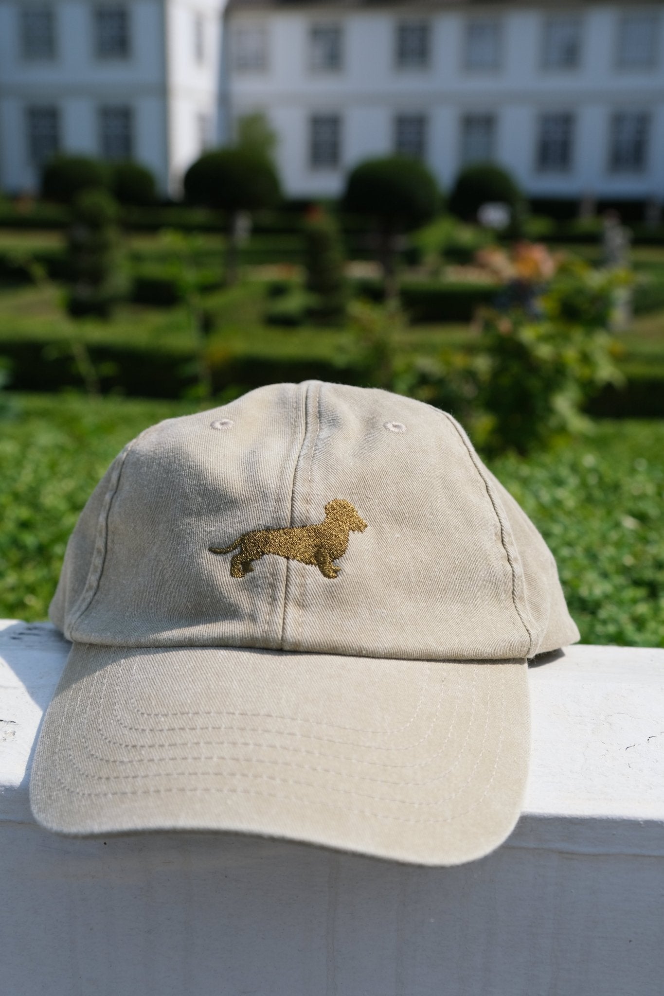 Caps Rauhaardackel - Oh Evchen