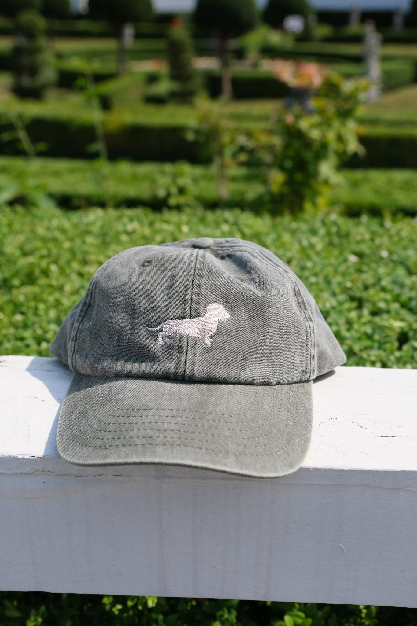 Caps Rauhaardackel - Oh Evchen