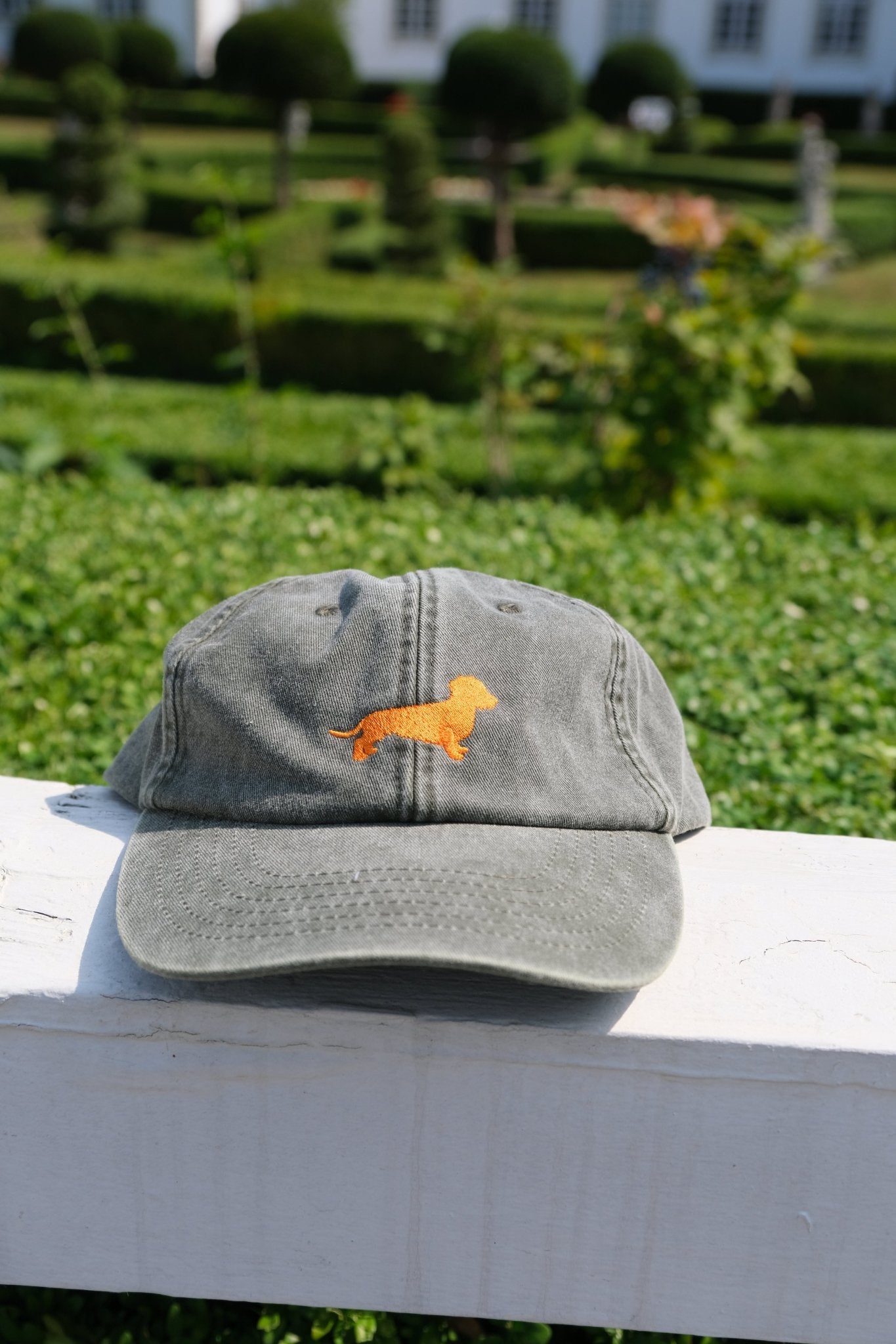 Caps Rauhaardackel - Oh Evchen
