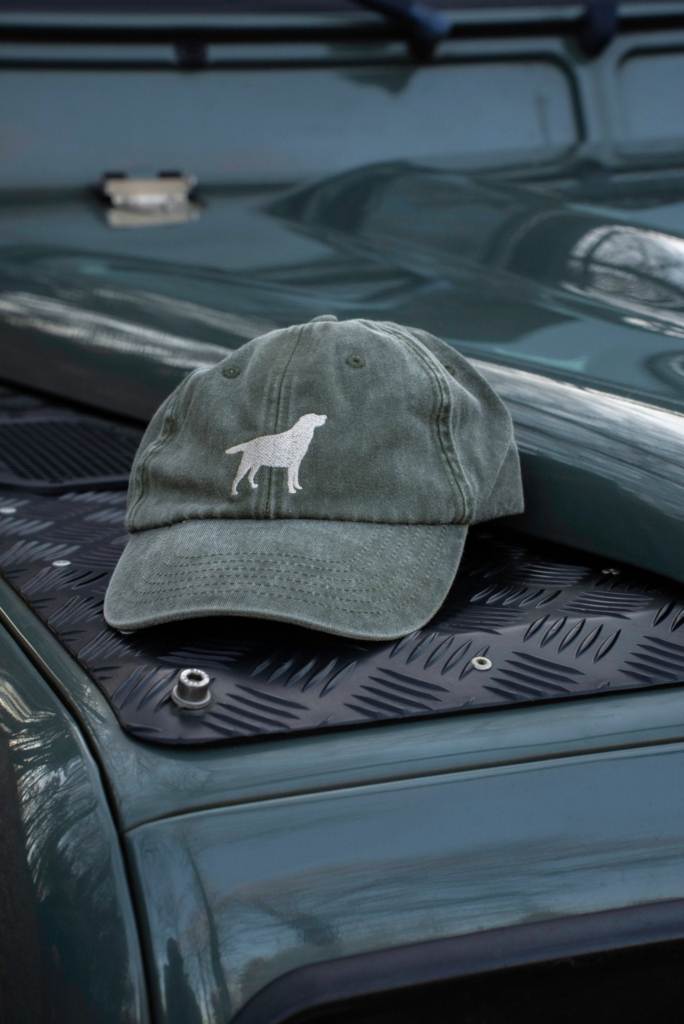 Caps Labrador - Oh Evchen