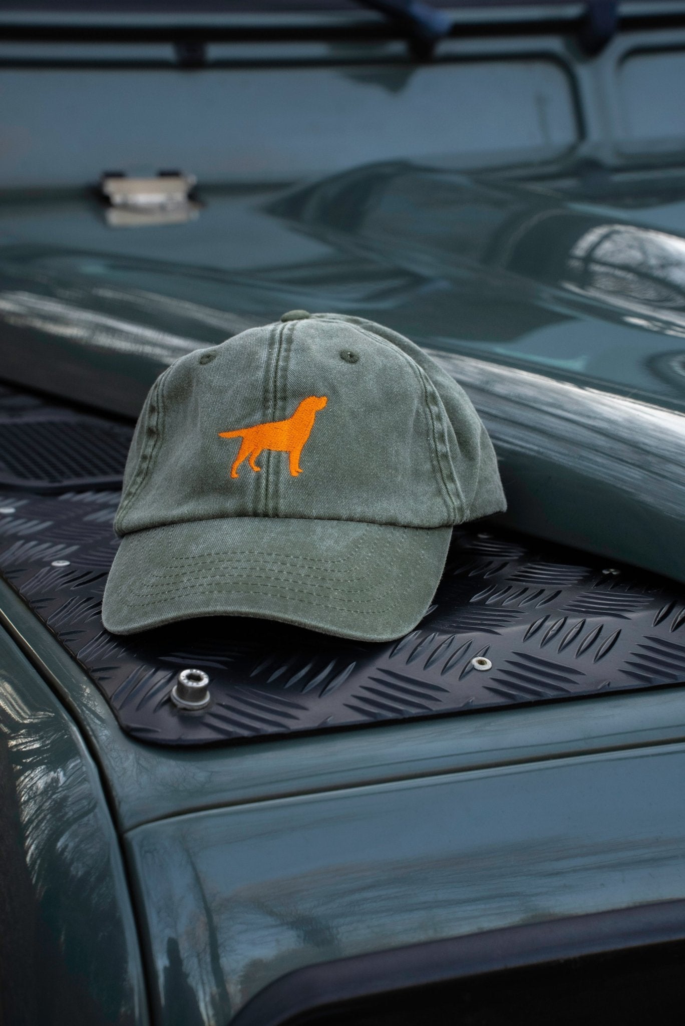 Caps Labrador - Oh Evchen