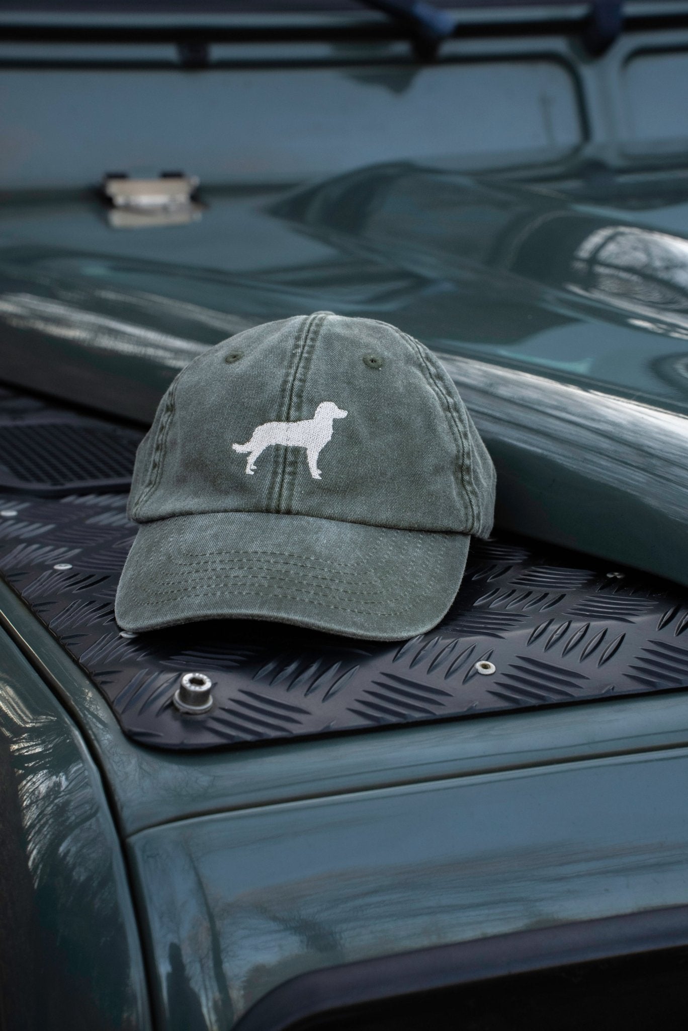 Caps Münsterländer - Oh Evchen