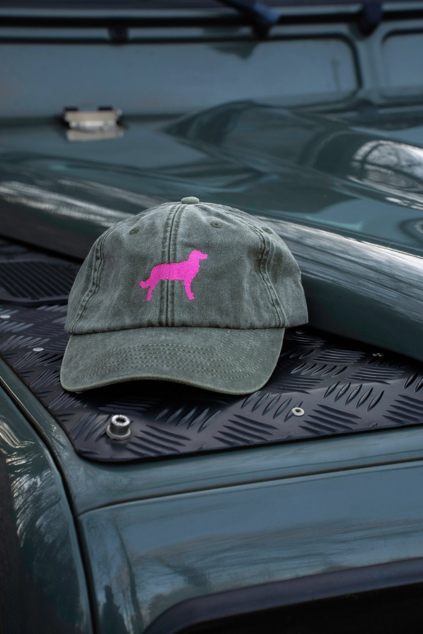 Caps Münsterländer - Oh Evchen