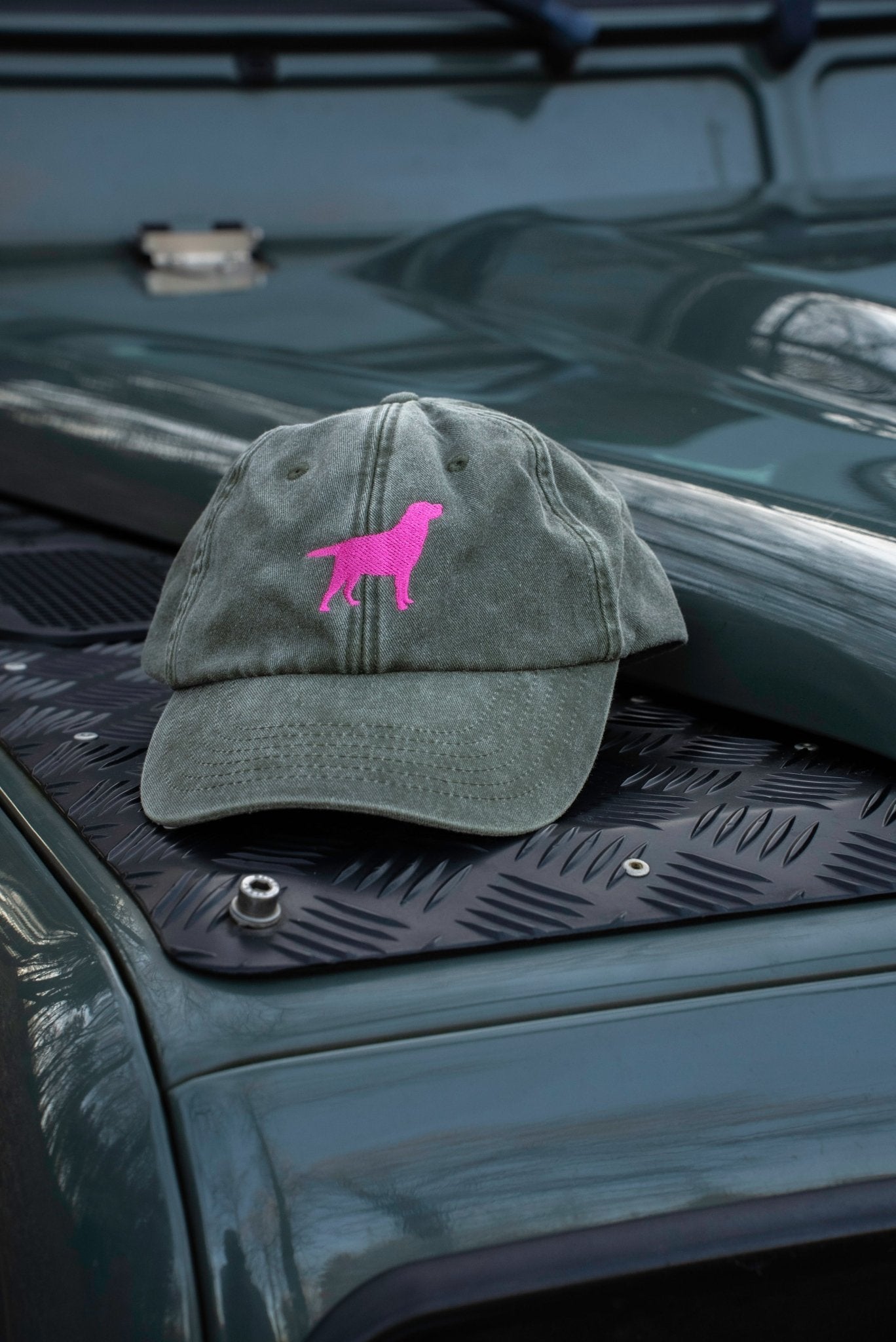 Caps Labrador - Oh Evchen