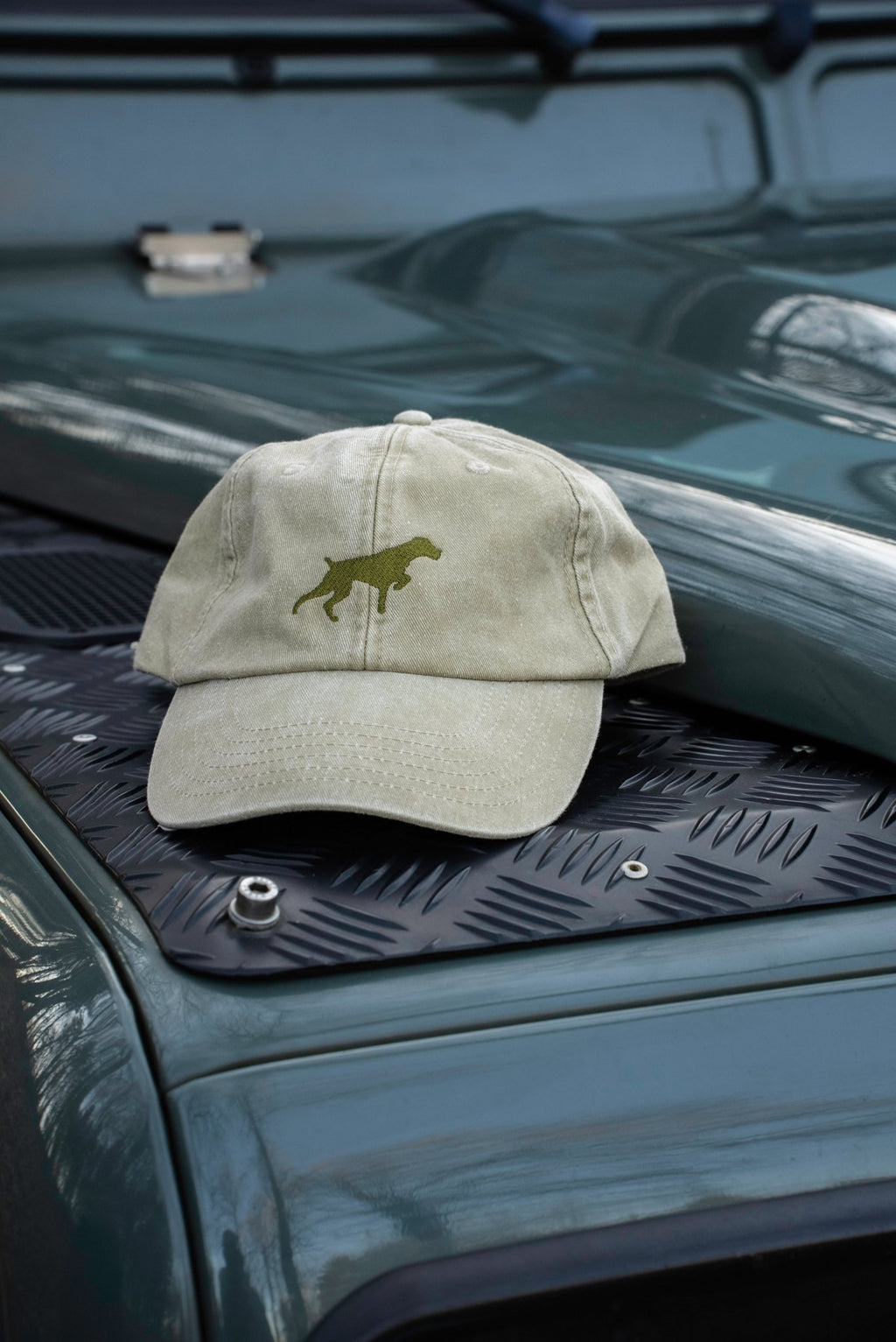 Caps Deutsch Drahthaar - Oh Evchen