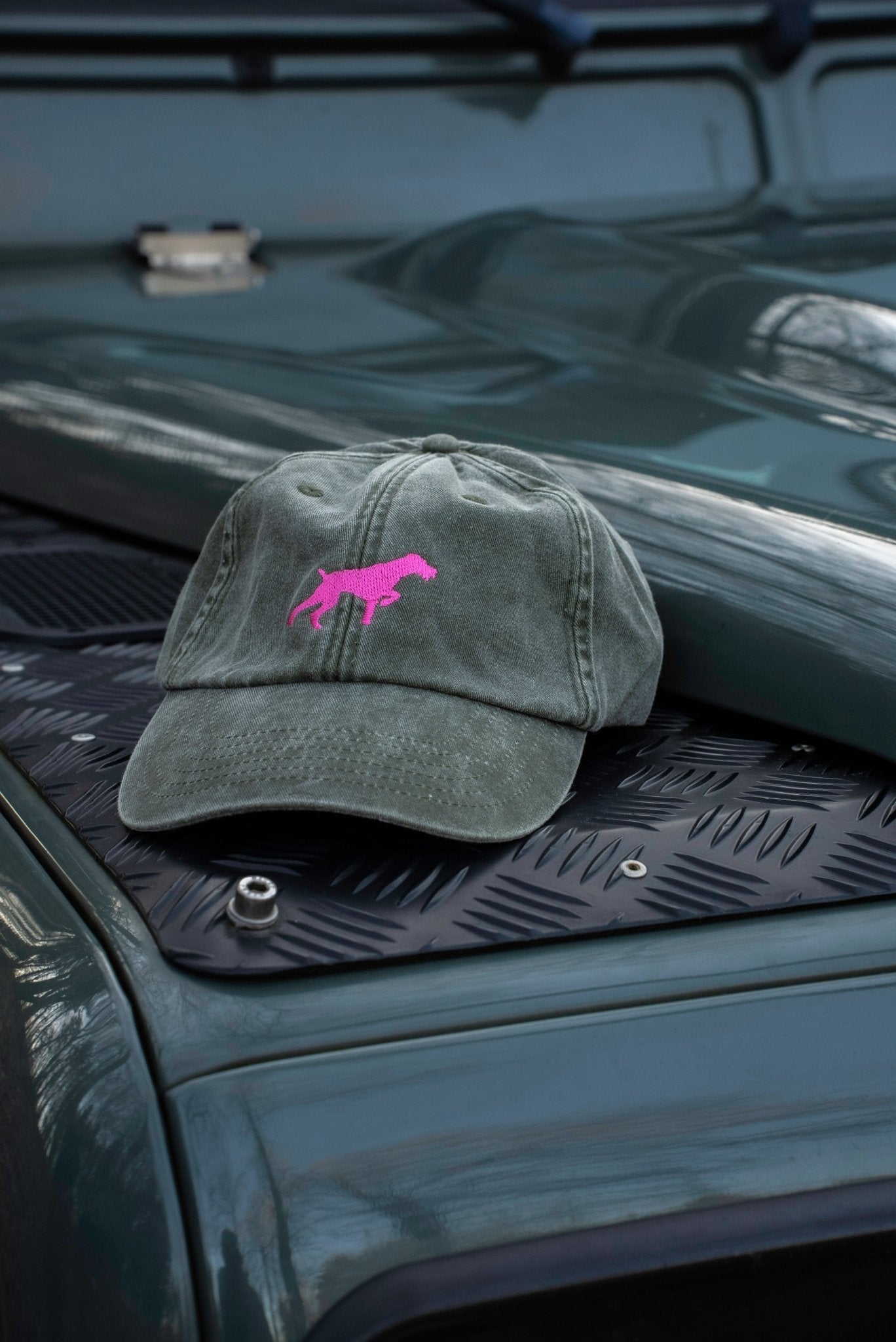 Caps Deutsch Drahthaar - Oh Evchen