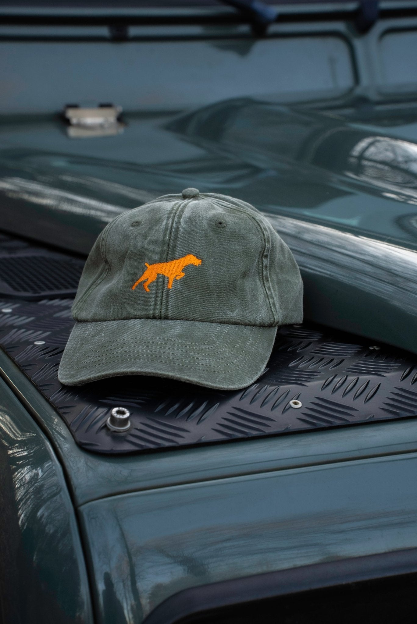 Caps Deutsch Drahthaar - Oh Evchen