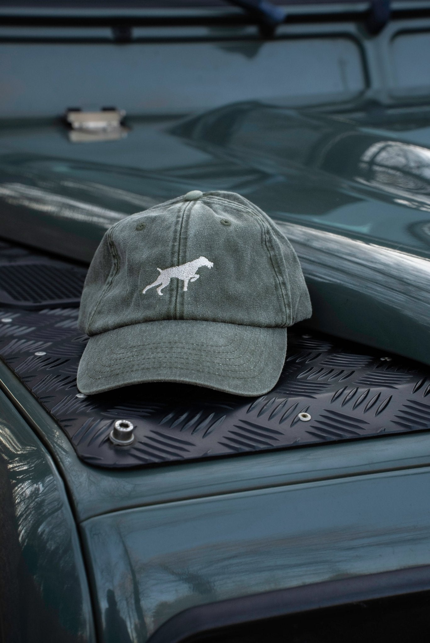 Caps Deutsch Drahthaar - Oh Evchen