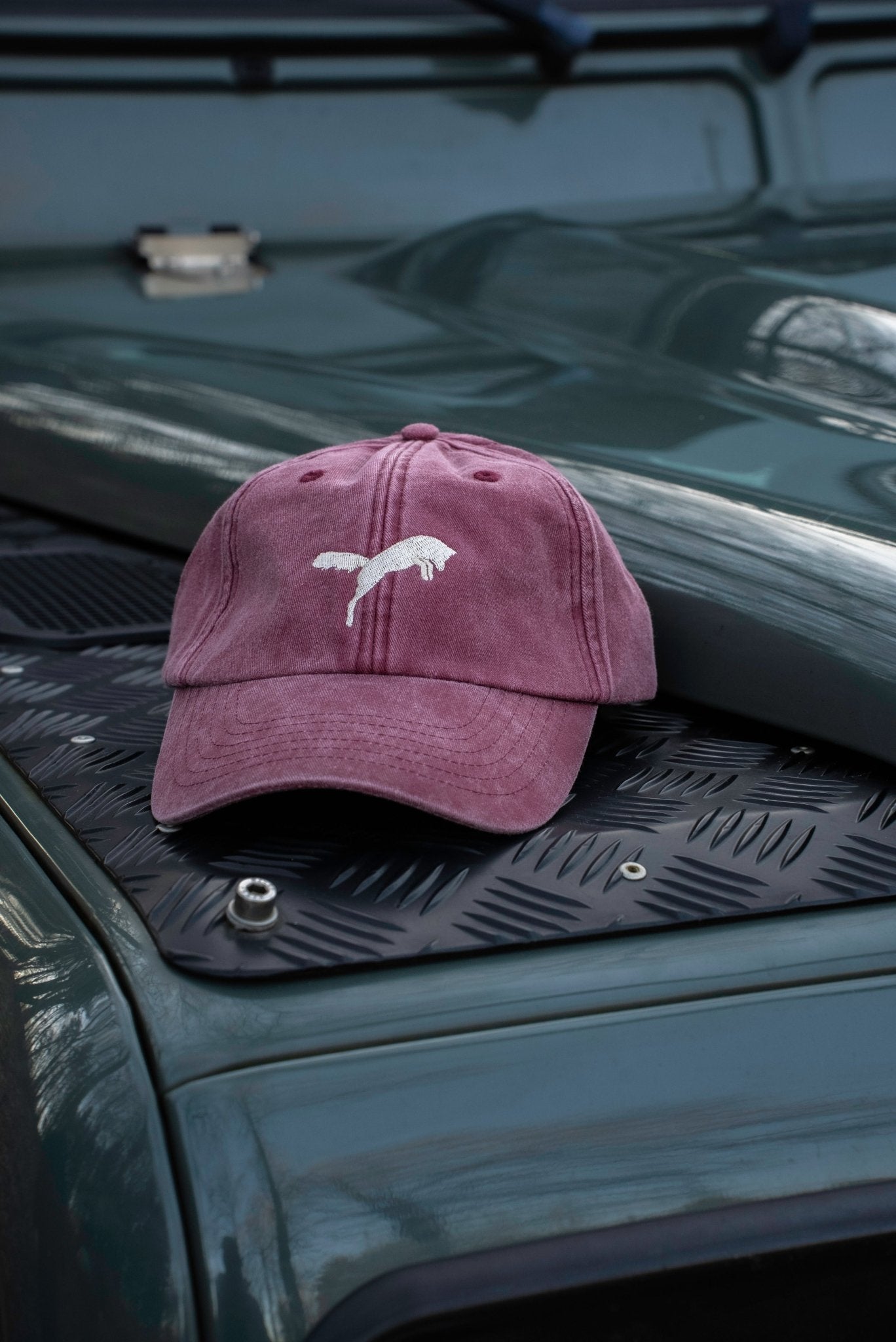 Caps Fuchs - Oh Evchen