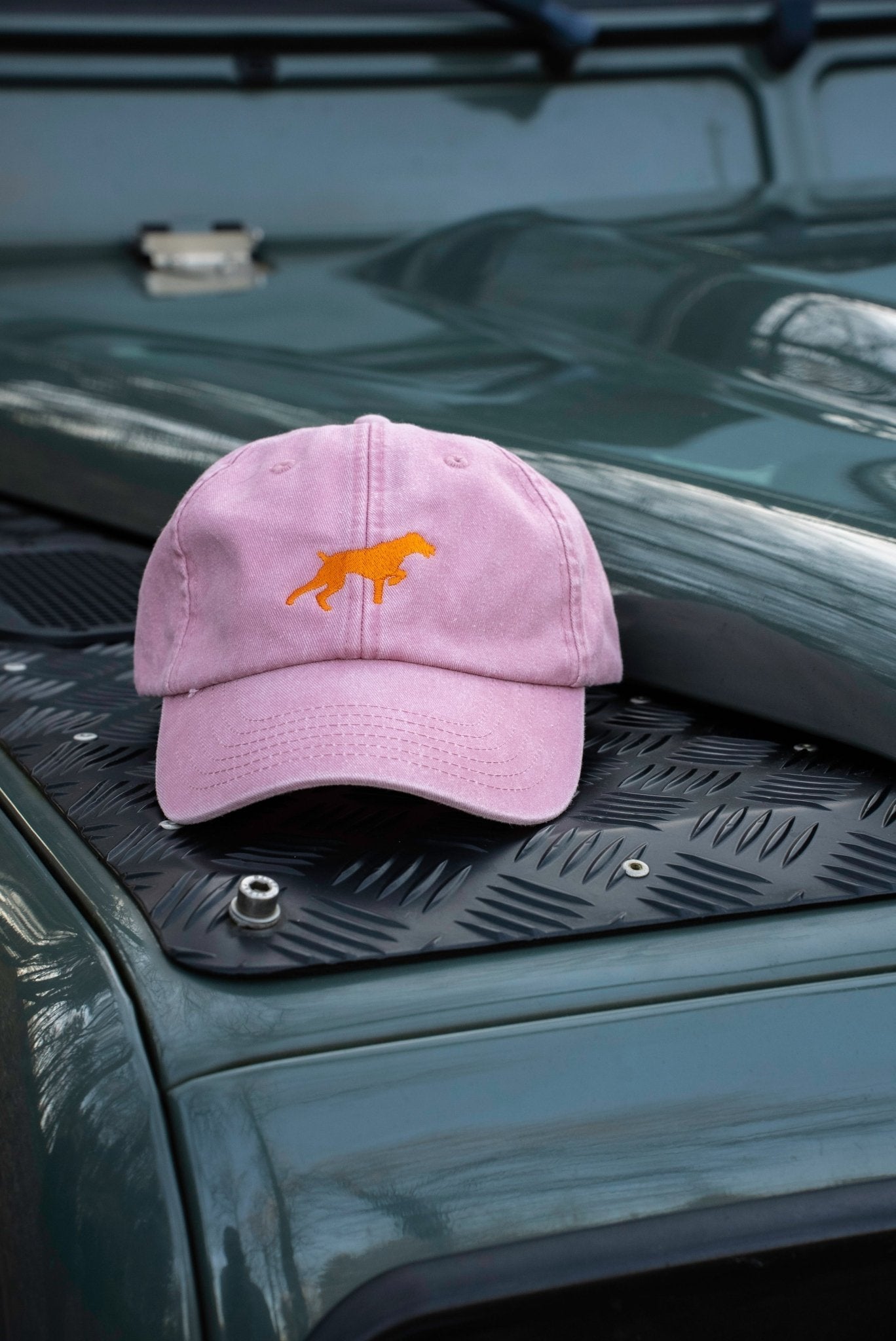 Caps Deutsch Drahthaar - Oh Evchen