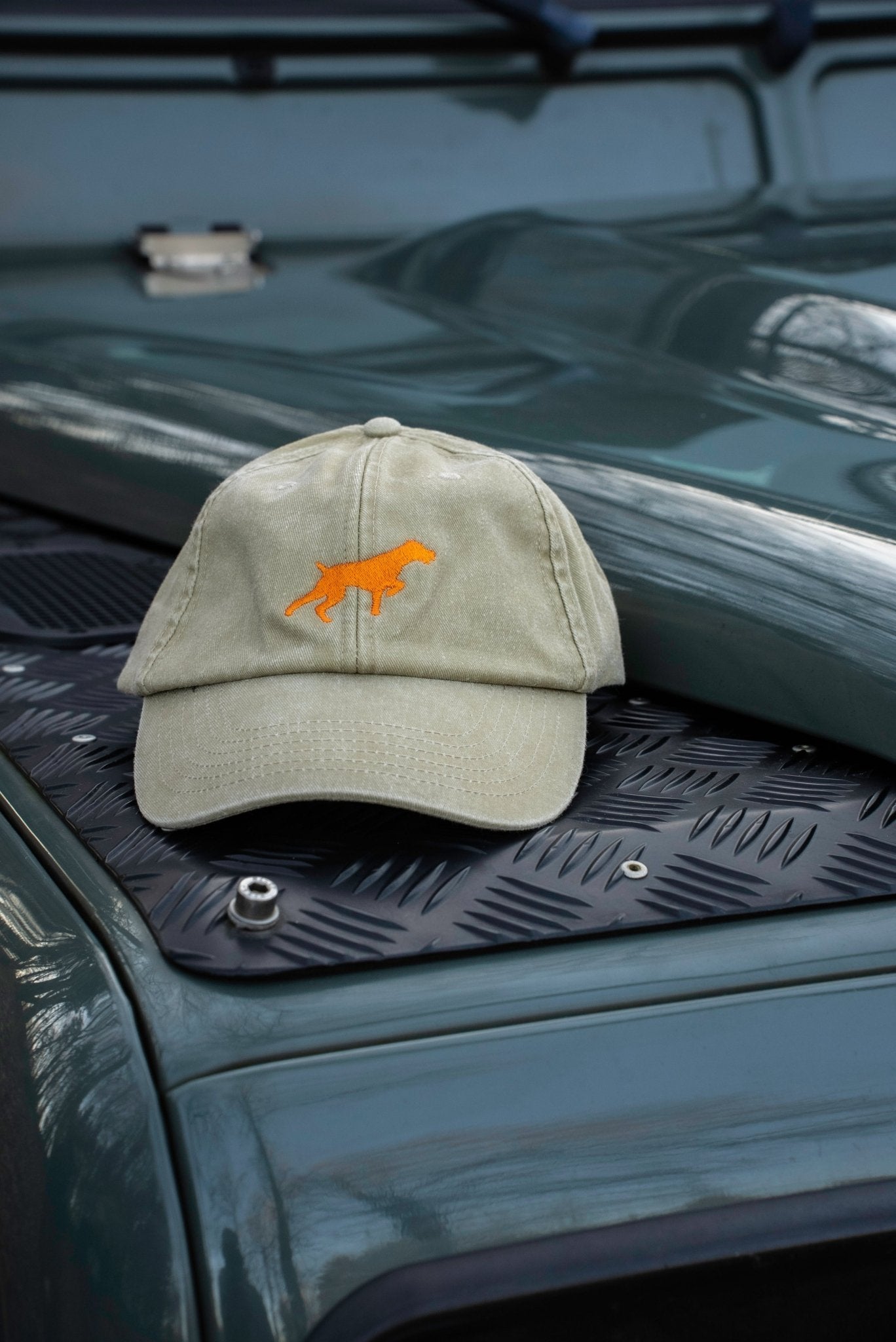 Caps Deutsch Drahthaar - Oh Evchen