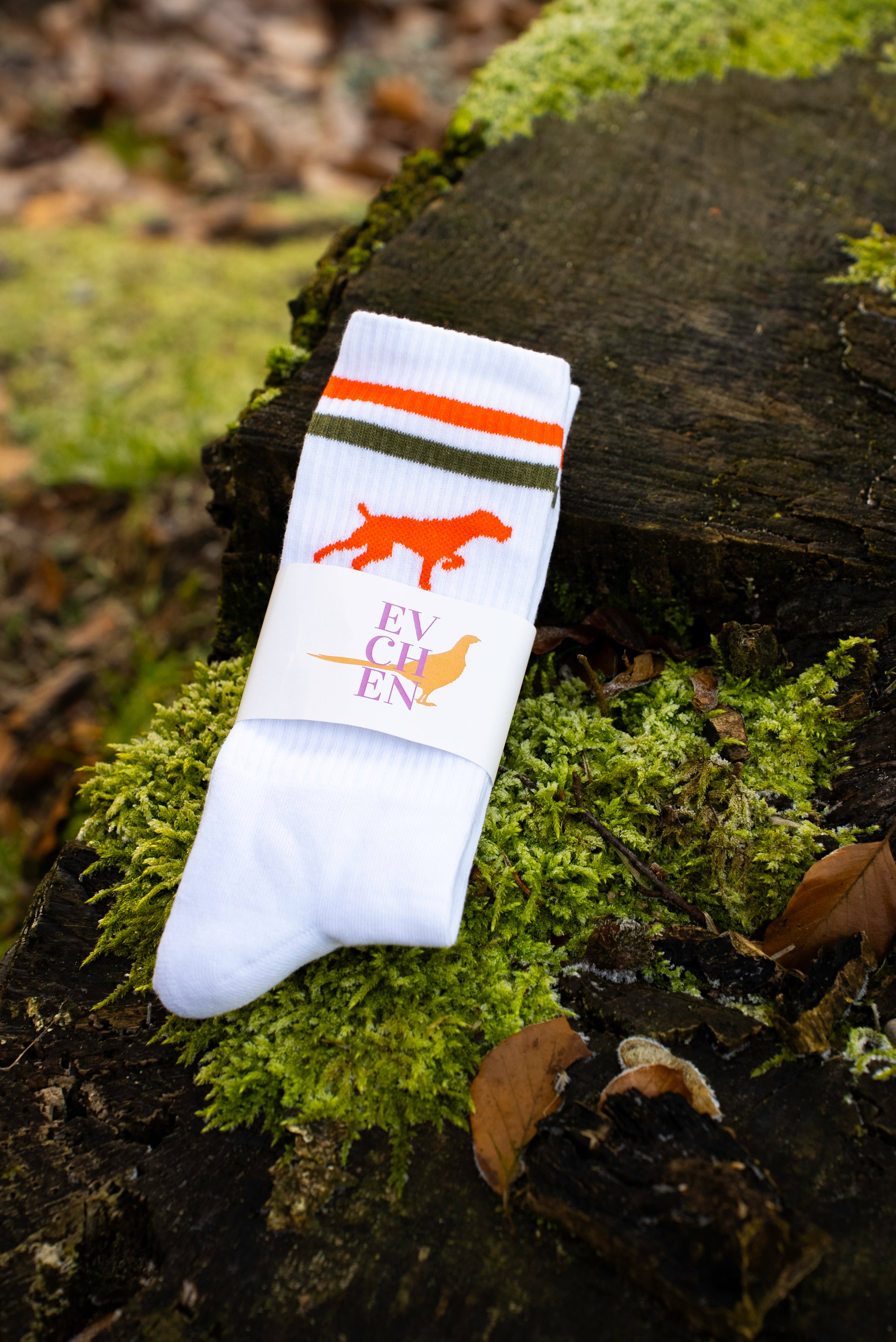 Socken Deutsch Drahthaar