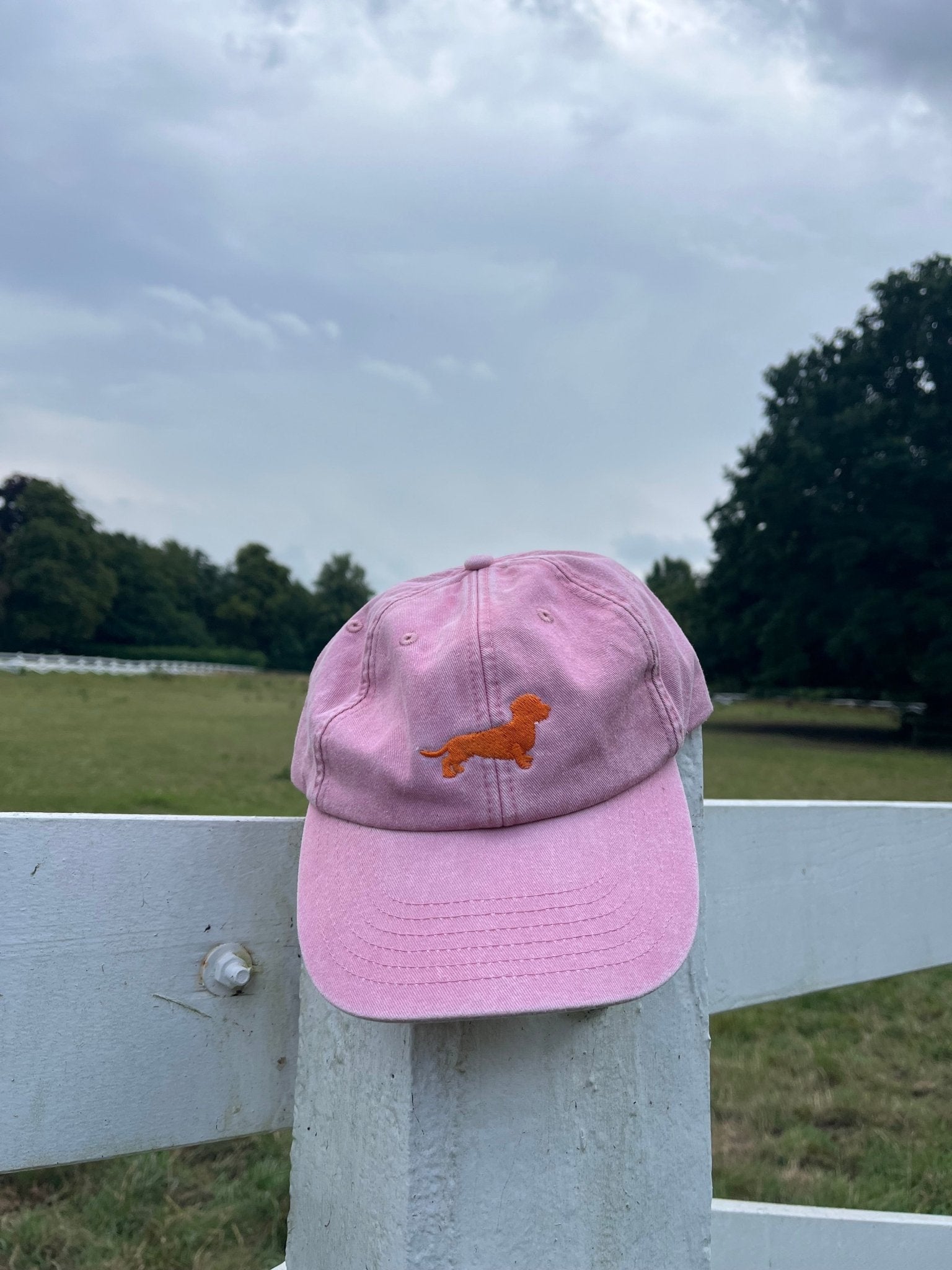 Caps Rauhaardackel - Oh Evchen