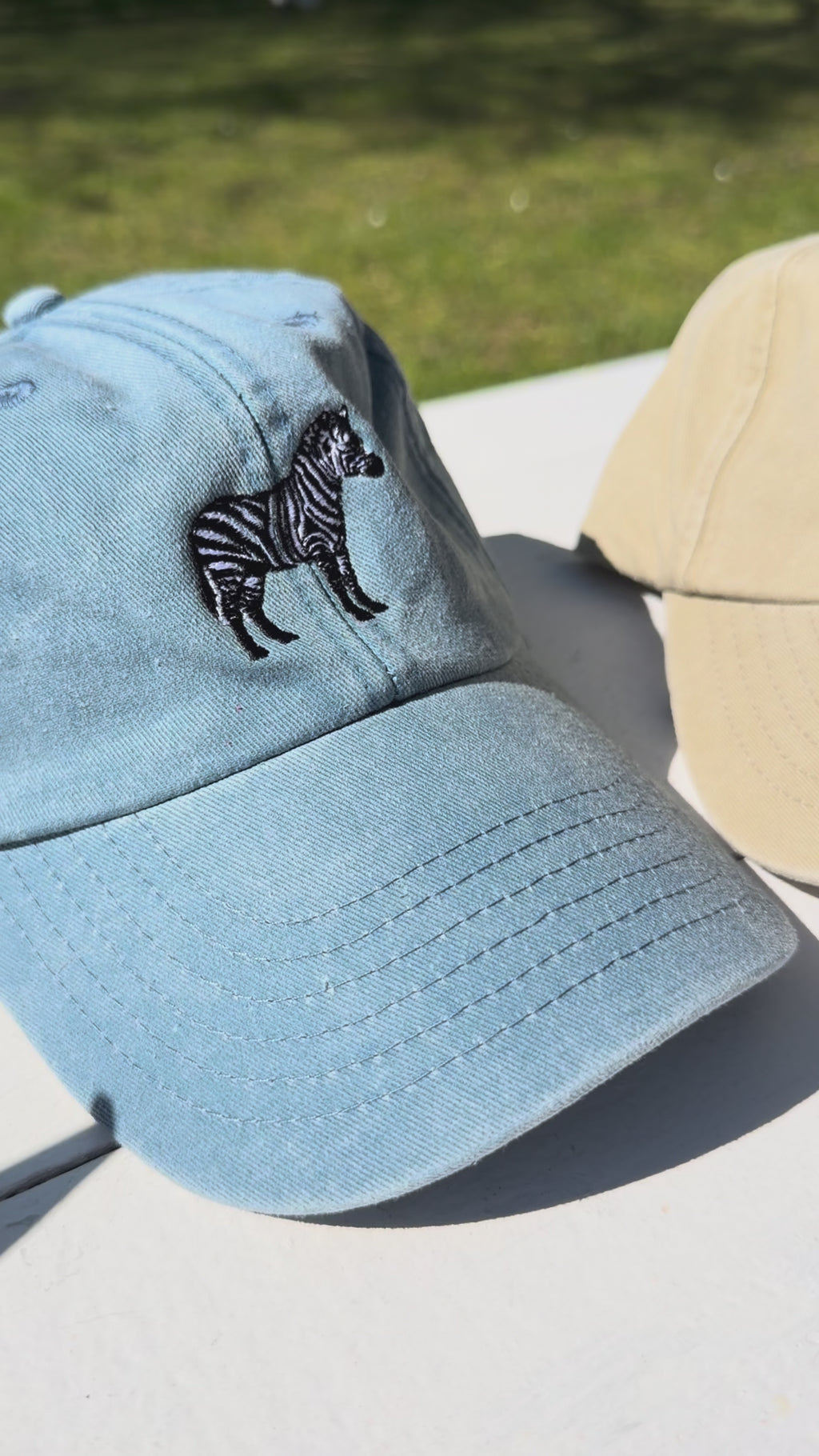 Cap Zebra